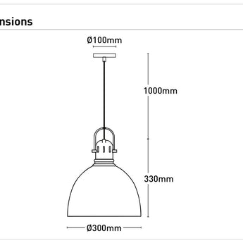 Industry 1Lt Pendant Light